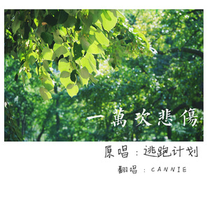 1024手机看片旧版
