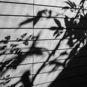 1024手机看片旧版
